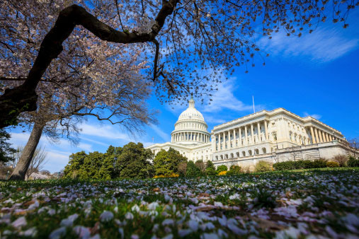 How will U.S. policymakers tackle income inequality in light of recent S&P research?