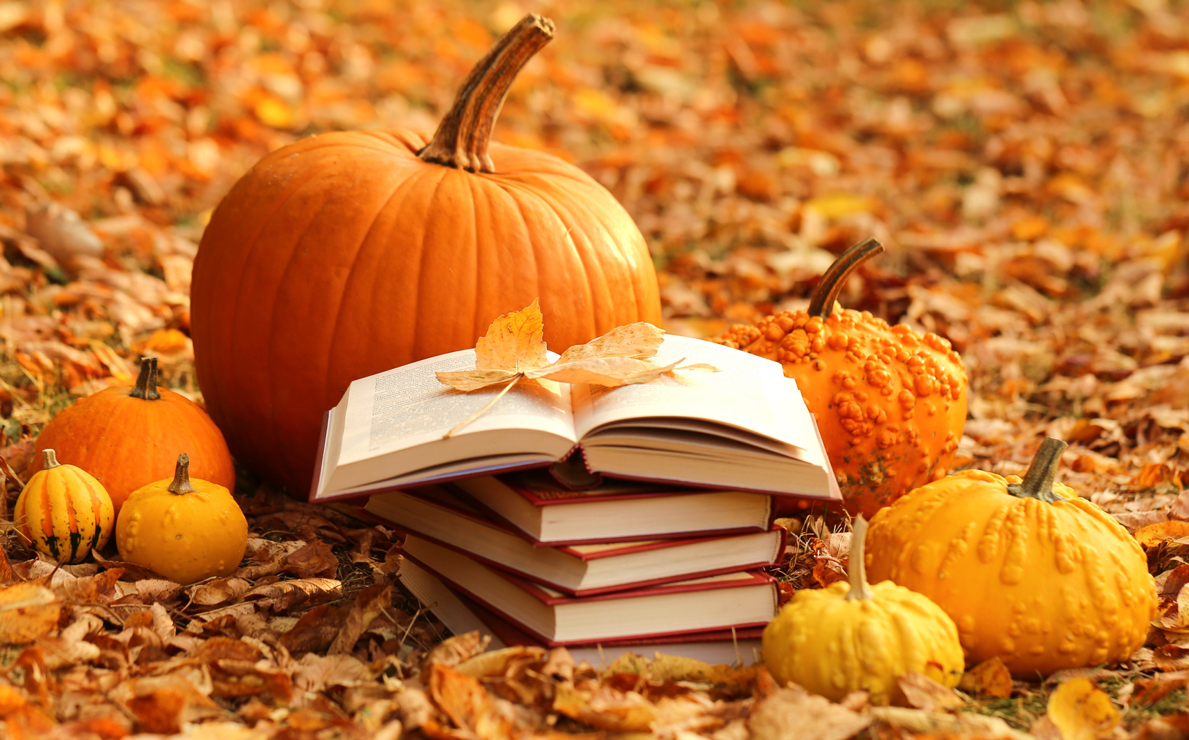 Autumn books